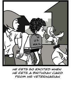 veterinary birthday cards